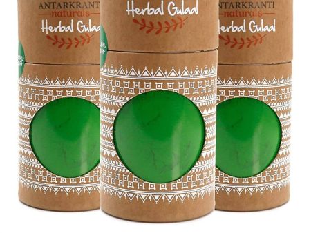 Antarkranti Naturals Green Herbal Handmade Gulal Sale