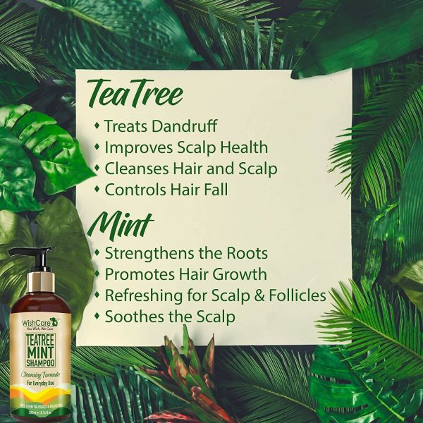 Wishcare Tea Tree Mint Shampoo on Sale