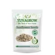 Yuvagrow Sunflower Seeds on Sale