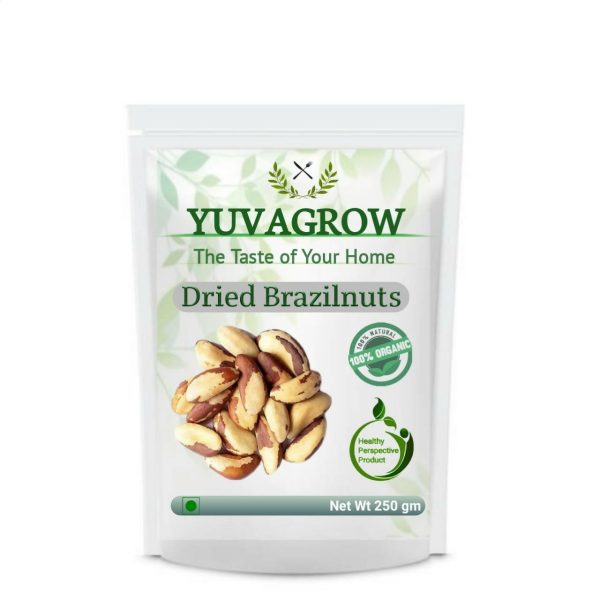 Yuvagrow Dried Brazilnuts Discount