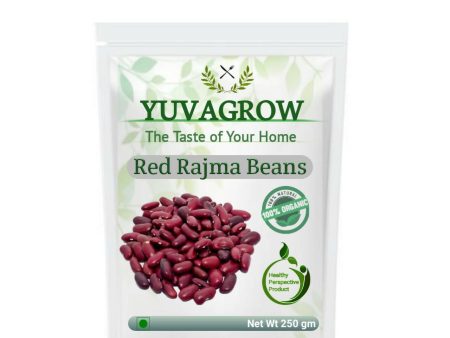 Yuvagrow Red Rajma Beans Supply