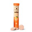 Upakarma Ayurveda Pure Sj Effervescent Tablets - Orange Hot on Sale