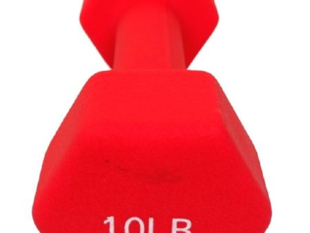 Vinyl Dumbbell 10Lb. Supply